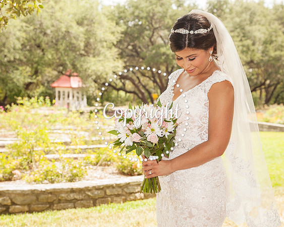 Zilker Botanical Garden Austin Bridal