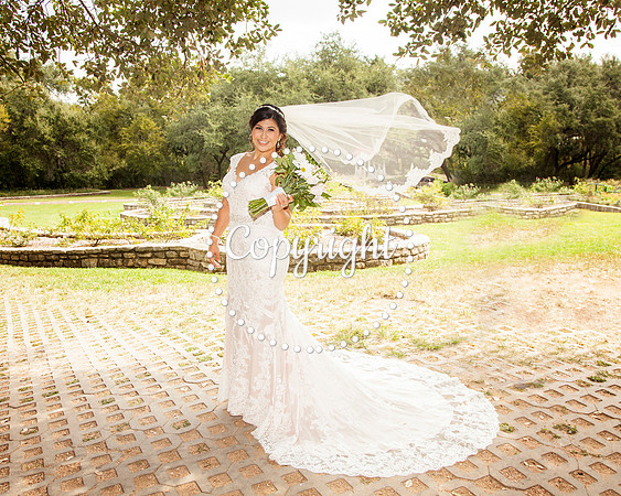 Zilker Botanical Garden Austin Bridal