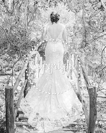Zilker Botanical Garden Austin Bridal