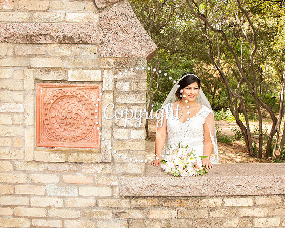 Zilker Botanical Garden Austin Bridal