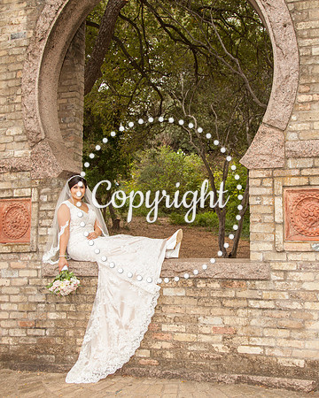 Zilker Botanical Garden Austin Bridal