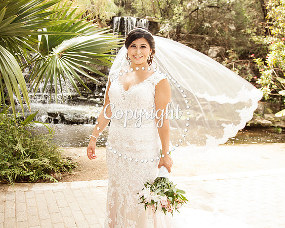 Zilker Botanical Garden Austin Bridal