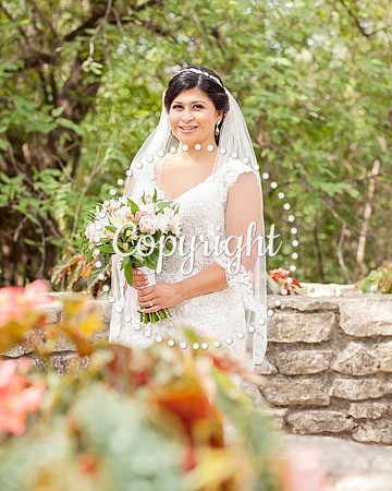Zilker Botanical Garden Austin Bridal