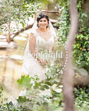 Zilker Botanical Garden Austin Bridal