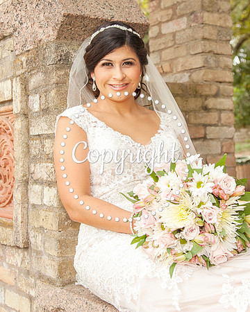 Zilker Botanical Garden Austin Bridal