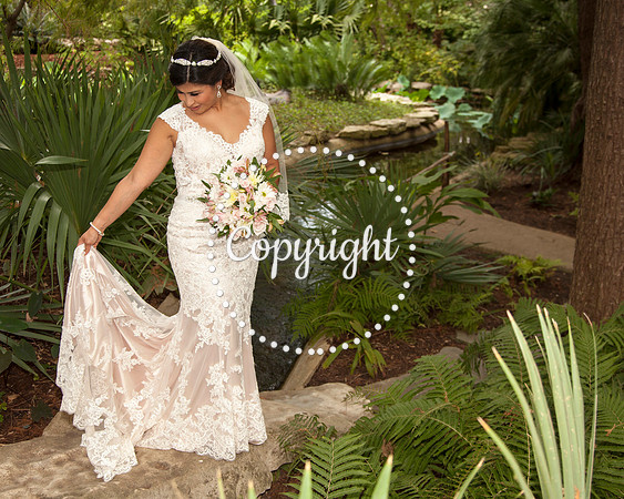 Zilker Botanical Garden Austin Bridal