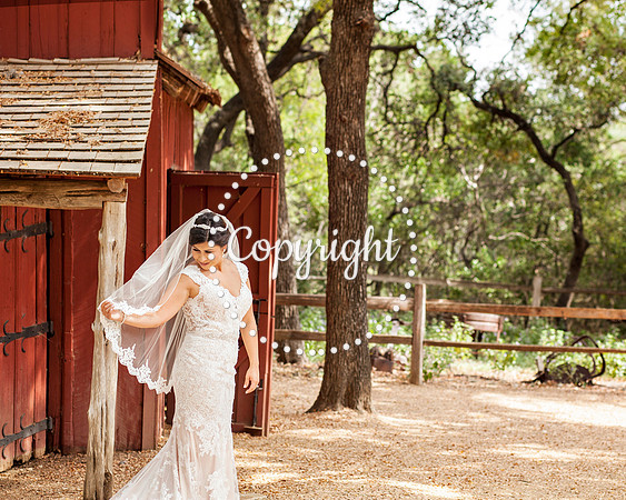 Zilker Botanical Garden Austin Bridal