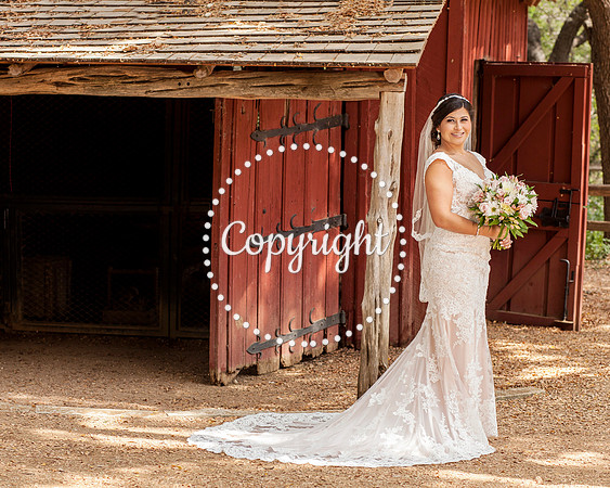 Zilker Botanical Garden Austin Bridal