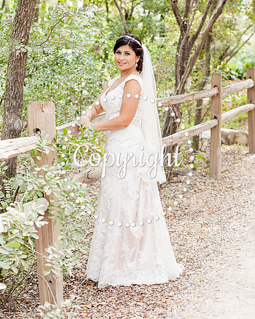 Zilker Botanical Garden Austin Bridal