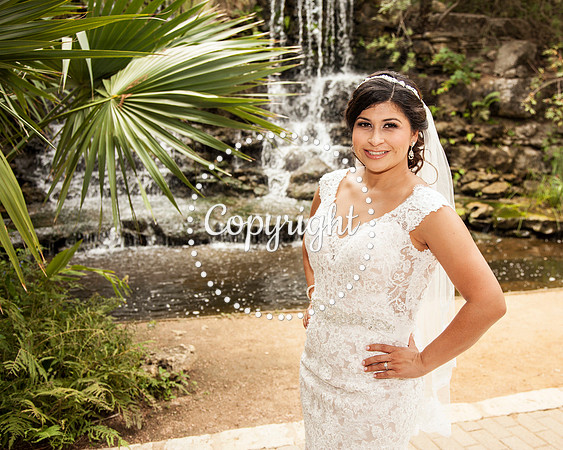 Zilker Botanical Garden Austin Bridal