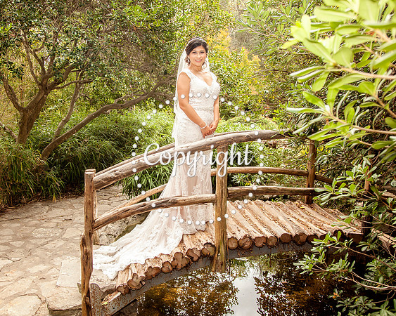 Zilker Botanical Garden Austin Bridal
