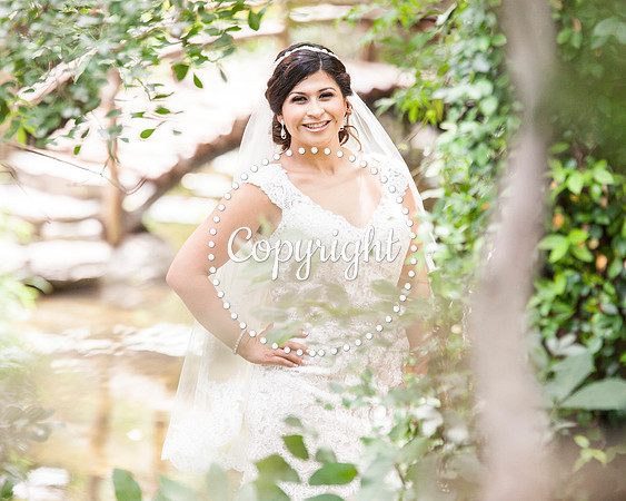 Zilker Botanical Garden Austin Bridal