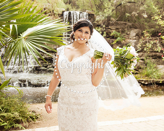 Zilker Botanical Garden Austin Bridal