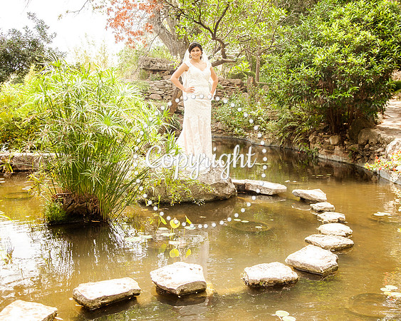 Zilker Botanical Garden Austin Bridal