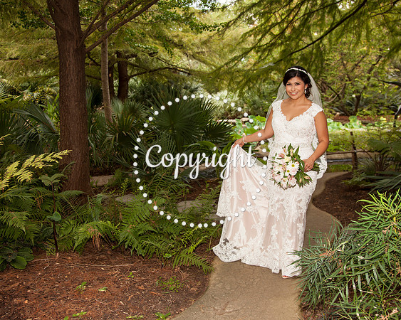 Zilker Botanical Garden Austin Bridal