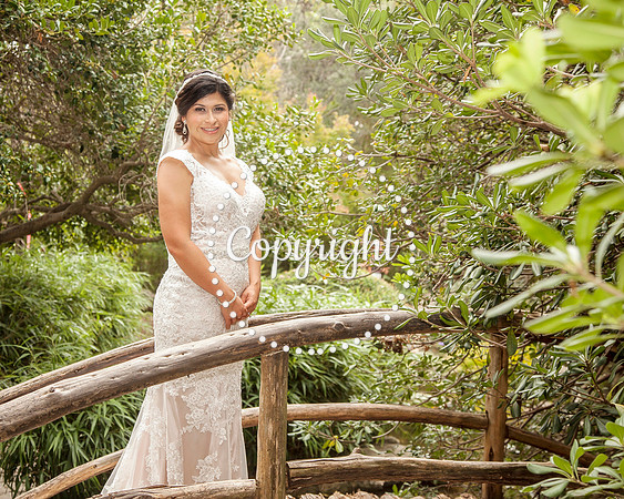 Zilker Botanical Garden Austin Bridal