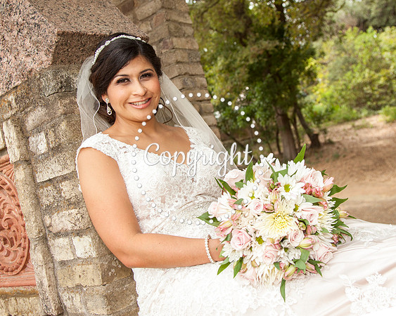 Zilker Botanical Garden Austin Bridal