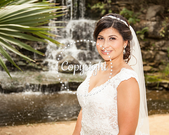 Zilker Botanical Garden Austin Bridal