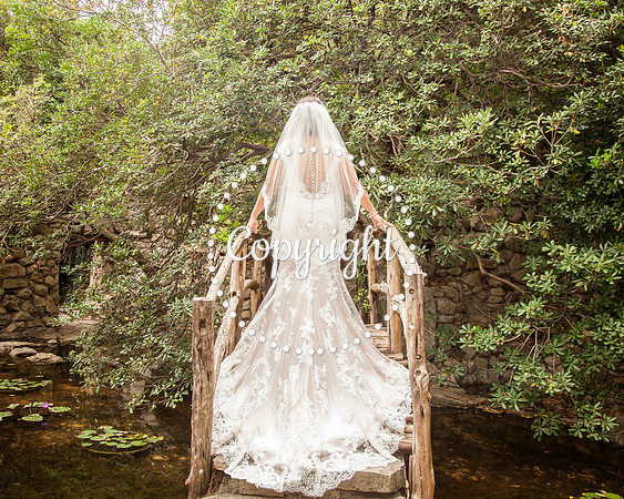 Zilker Botanical Garden Austin Bridal