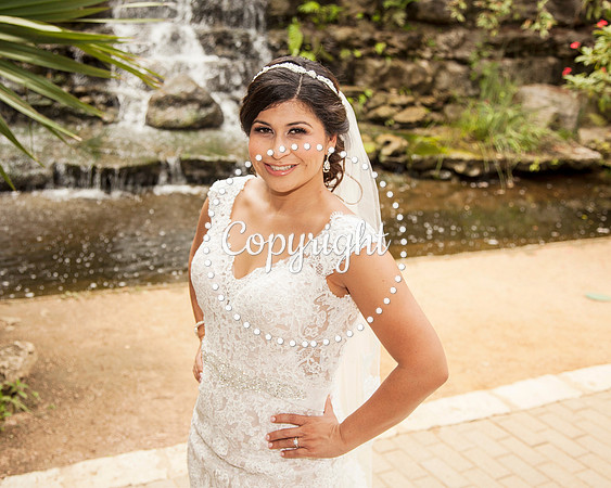Zilker Botanical Garden Austin Bridal