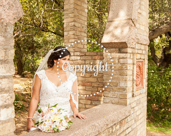 Zilker Botanical Garden Austin Bridal