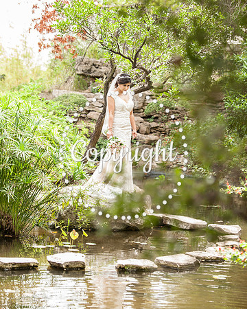 Zilker Botanical Garden Austin Bridal