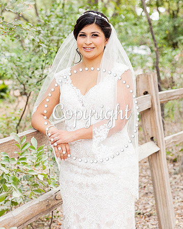 Zilker Botanical Garden Austin Bridal
