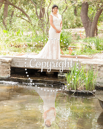 Zilker Botanical Garden Austin Bridal
