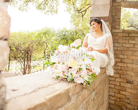 Zilker Botanical Garden Austin Bridal