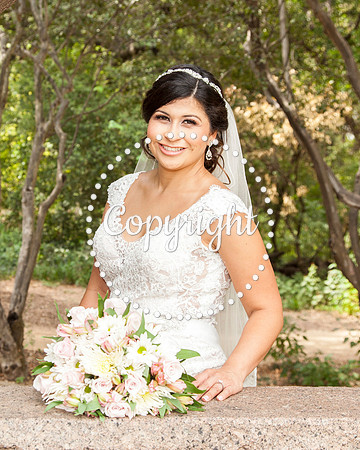 Zilker Botanical Garden Austin Bridal