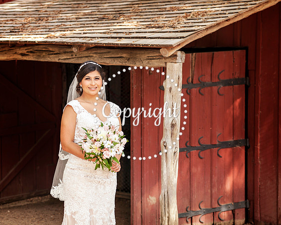 Zilker Botanical Garden Austin Bridal