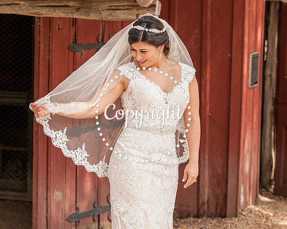 Zilker Botanical Garden Austin Bridal