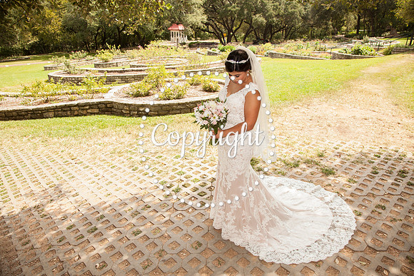 Zilker Botanical Garden Austin Bridal