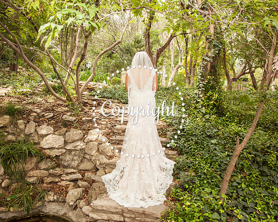 Zilker Botanical Garden Austin Bridal