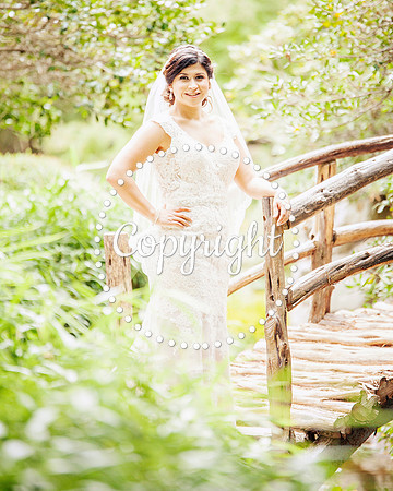 Zilker Botanical Garden Austin Bridal