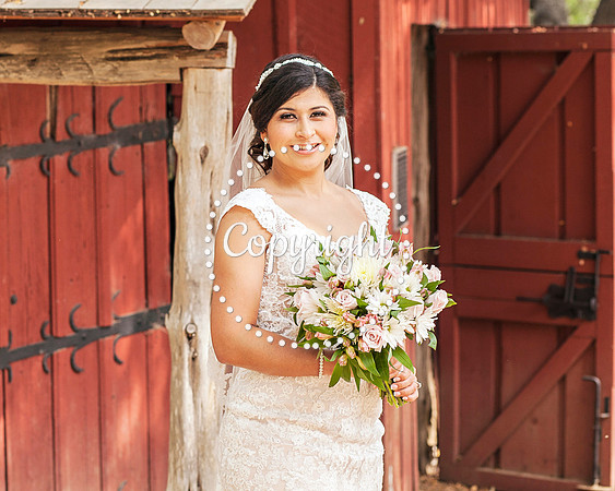 Zilker Botanical Garden Austin Bridal