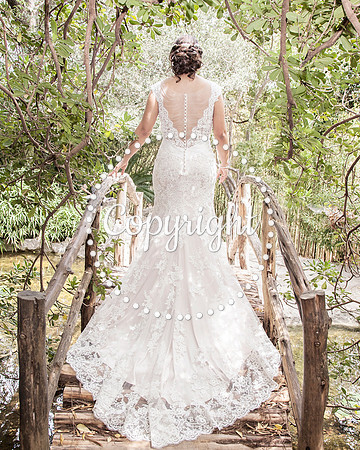 Zilker Botanical Garden Austin Bridal