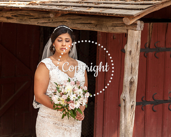Zilker Botanical Garden Austin Bridal