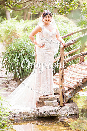 Zilker Botanical Garden Austin Bridal