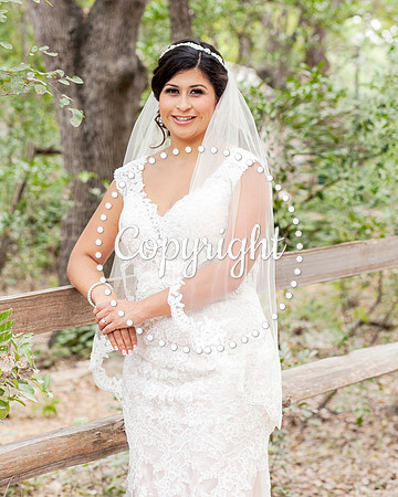 Zilker Botanical Garden Austin Bridal