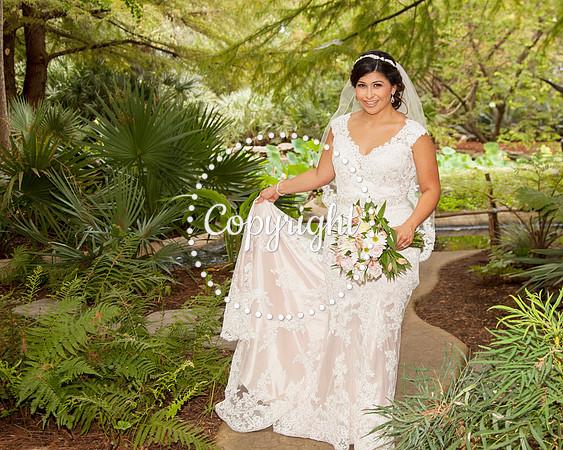 Zilker Botanical Garden Austin Bridal