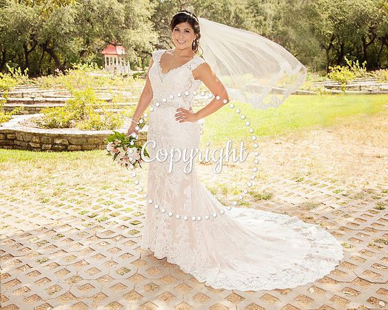 Zilker Botanical Garden Austin Bridal