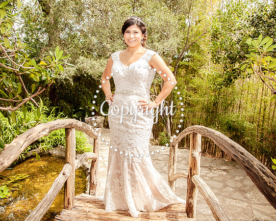 Zilker Botanical Garden Austin Bridal