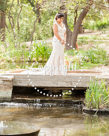Zilker Botanical Garden Austin Bridal