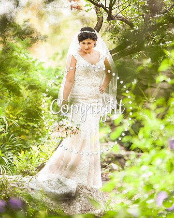 Zilker Botanical Garden Austin Bridal