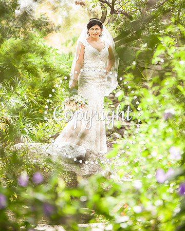 Zilker Botanical Garden Austin Bridal
