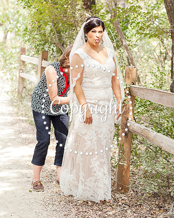 Zilker Botanical Garden Austin Bridal