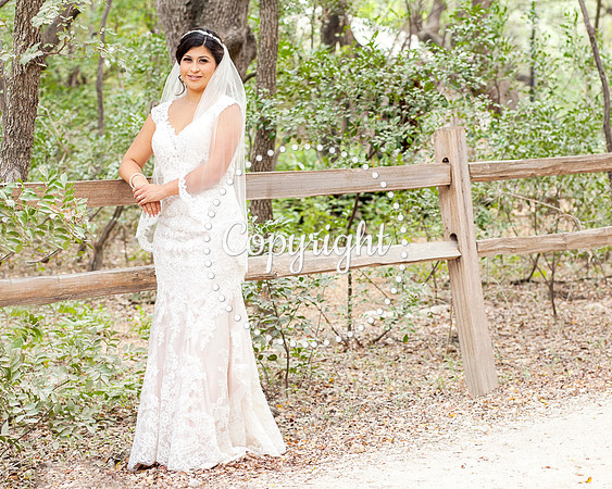 Zilker Botanical Garden Austin Bridal