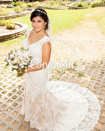Zilker Botanical Garden Austin Bridal