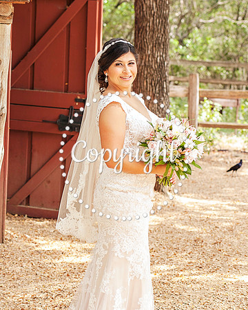 Zilker Botanical Garden Austin Bridal